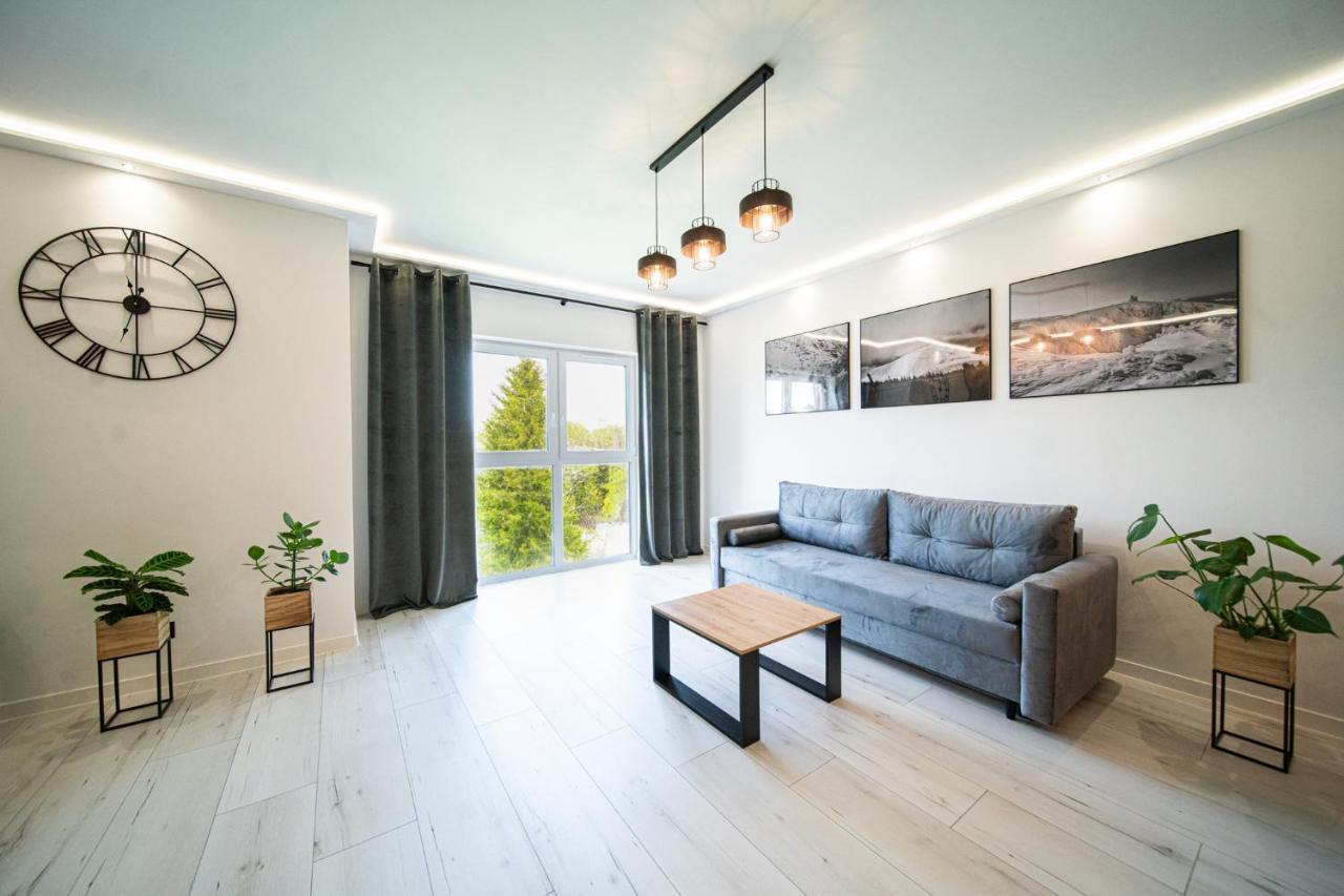 Апартаменты Apartament Duzy Staw Еленя-Гура Экстерьер фото